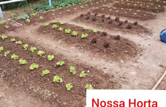 WhatsApp Image 2025-10-13 at 16.31.58 (1)