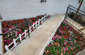 WhatsApp Image 2025-10-13 at 16.33.43 (1)