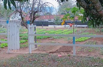 WhatsApp Image 2025-10-14 at 08.21.30