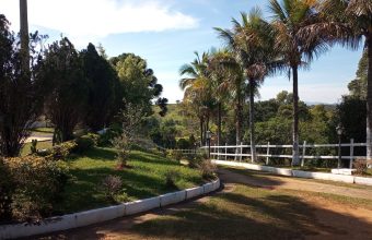 WhatsApp Image 2025-10-14 at 08.21.32 (1)